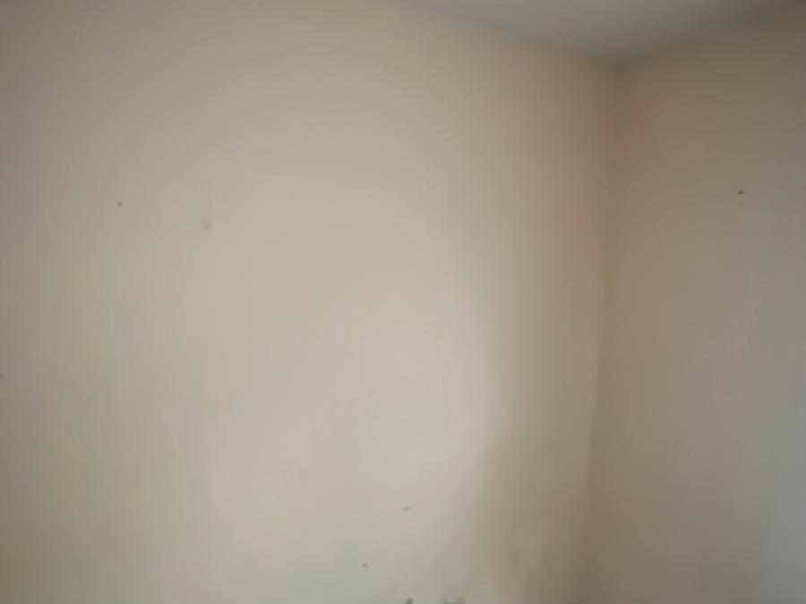 Dea Construction LLC